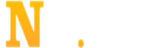 N19.COM LOGO